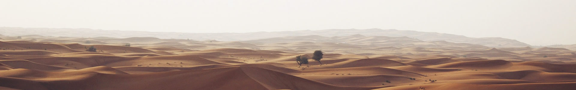 ɽƺƼ޹˾